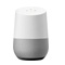 Google Home Action Development